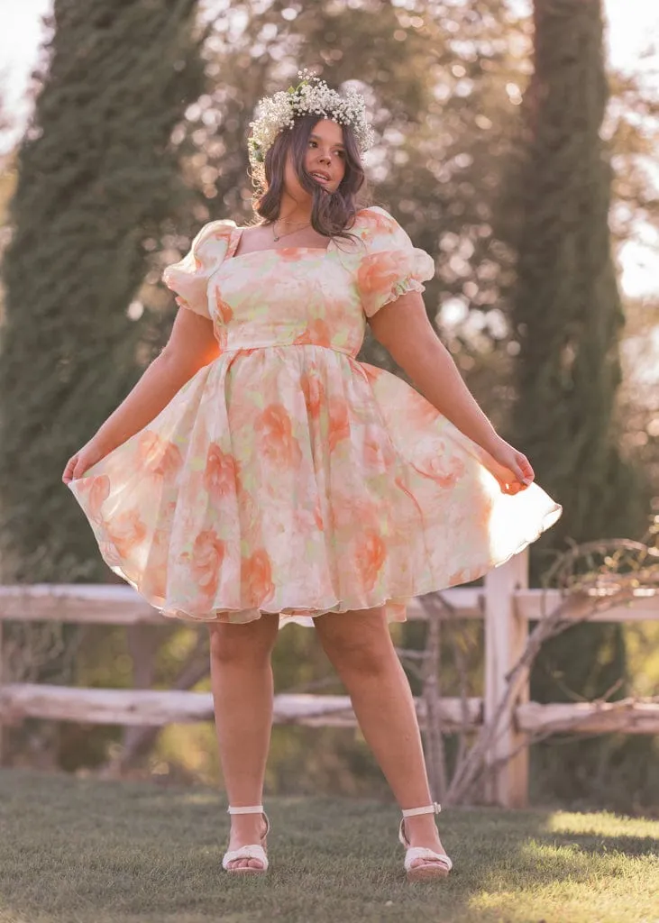 Poppy Dress - Image 4